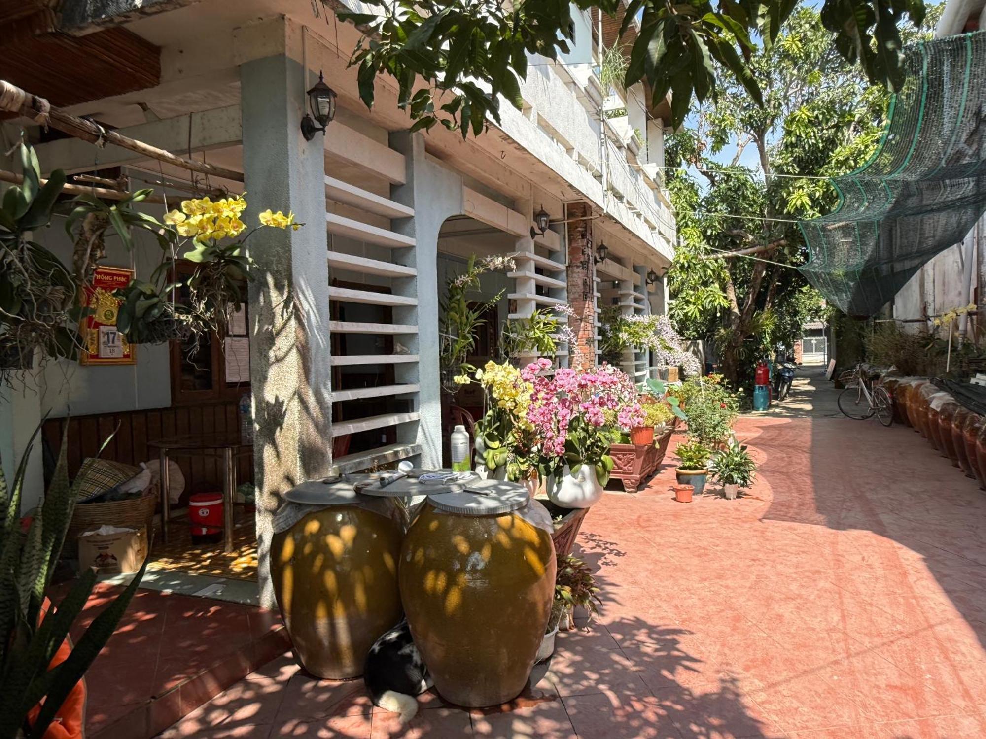 Island Homestay Tien Giang Mỹ Tho Buitenkant foto